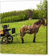 Carriage With Brown Horse Canvas Print