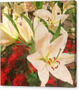 Casa Blanca Lilies In Golden Light Canvas Print