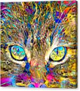 Cat In Vibrant Surreal Abstract 002001 20200420 Canvas Print