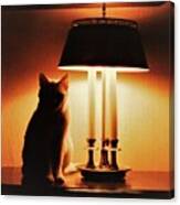 Cat Lamp Canvas Print
