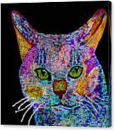 Cat Mosaic Canvas Print