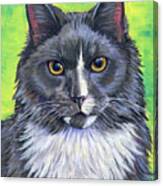 Cat Portrait - Lenny Canvas Print