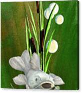 Catfish At Pickwick Lake Canvas Print