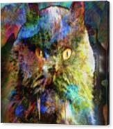Cave Cat Canvas Print
