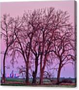 Cendak Framed -  Sunrise At The Benson County Nd Grain Elevator Viewed Through Cottonwood Grove Canvas Print