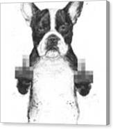 Censored Dog Canvas Print