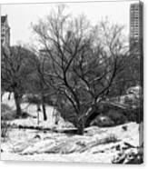Central Park Landscape With Bridge Canvas Print