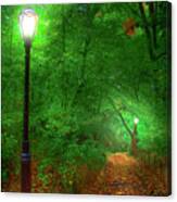 Central Park Ramble Canvas Print