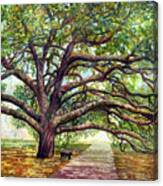 Century Tree 2 Canvas Print