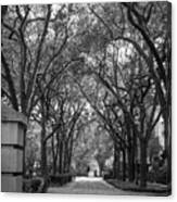 Charleston Waterfront Park Walkway, S.c, Black And White. Canvas Print