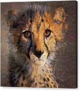 Cheetah Cub Abstract Portrait - 1 Canvas Print