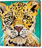 Cheetah Canvas Print