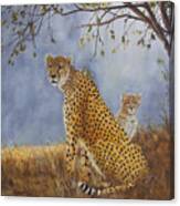 Cheetah With Cub Canvas Print