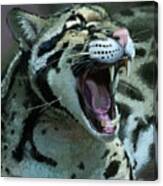 Cheetah Yawn Canvas Print