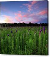 Cherokee Prairie At Sunset Canvas Print