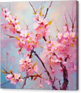 Cherry Blossoms Art Canvas Print
