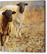 Chester County Goats Canvas Print