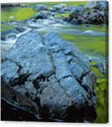 Cheticamp River Spring Reflections Canvas Print