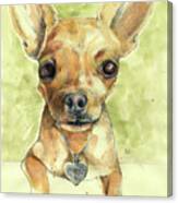 Chihuahua Love Canvas Print