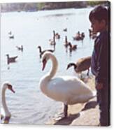 Child Dreams With Swans Canvas Print