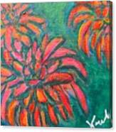 Chrysanthemum Spin Canvas Print