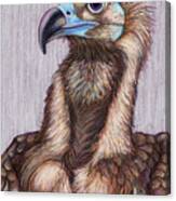Cinereous Vulture Canvas Print