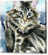 Clancy Fluffy Cat Painting Canvas Print