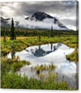 Clearwater Meadow Canvas Print