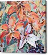 Clematis Plants Pastels 1 Canvas Print