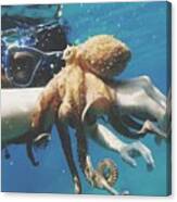 Close-Up Of Person Holding Octopus In Sea Canvas Print
