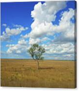 Clouds Over A Lone Tree Canvas Print