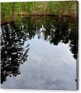 Cloudy Reflection Canvas Print