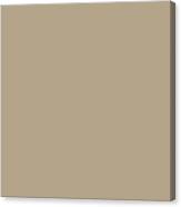 Coastal Calm Beige Solid Color Pairs Sherwin Williams Outerbanks Sw 7534 Canvas Print