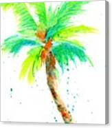 Coconut Palm Tree Splash 1 Canvas Print