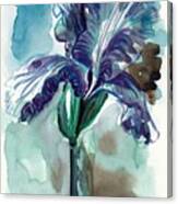 Cold Iris Canvas Print