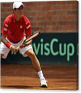 Colombia V Japan - Davis Cup World Group Play-off - Day 3 Canvas Print