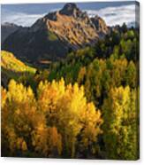 Colorado Autumn Gold Canvas Print
