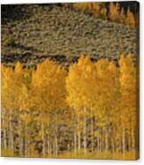 Colorado Rockies Canvas Print