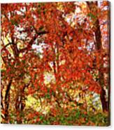 Colorful Autumn Leaves 3 High Resolution Xl Canvas Print