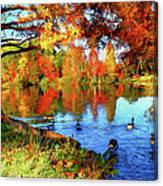 Colorful Autumn On The Lake Ap Canvas Print