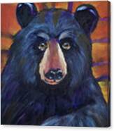 Colorful Black Bear Canvas Print