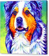 Colorful Blue Merle Australian Shepherd Dog Canvas Print