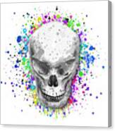 Colorful Evil Skull Wall Art - High Quality Canvas Print