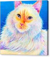 Colorful Flame Point Siamese Canvas Print
