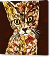 Colorful Kitten 6 Canvas Print
