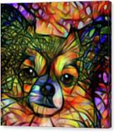 Colorful Long Haired Chihuahua Art Canvas Print