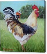 Colorful Rooster And Red Barn Landscape And Scene By Cheri Wollenberg Canvas Print