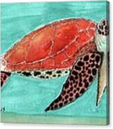 Colorful Sea Turtle In Blue Green Water Canvas Print