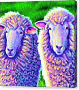 Colorful Sheep Portrait - Charlie And Curtis Canvas Print