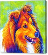 Colorful Shetland Sheepdog Canvas Print